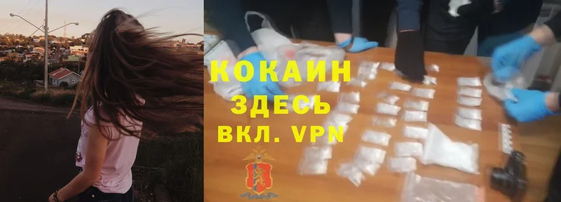 КОКАИН 98%  наркота  Димитровград 