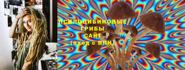 PSILOCYBIN Артём