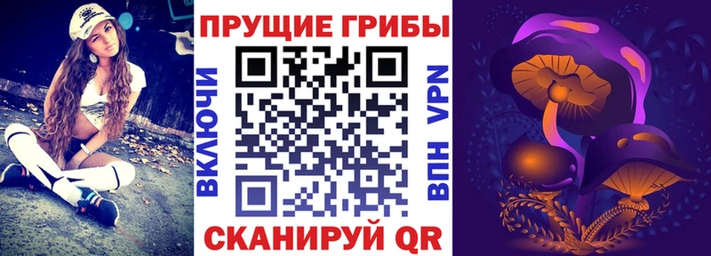 площадка Telegram  Димитровград  Псилоцибиновые грибы прущие грибы 