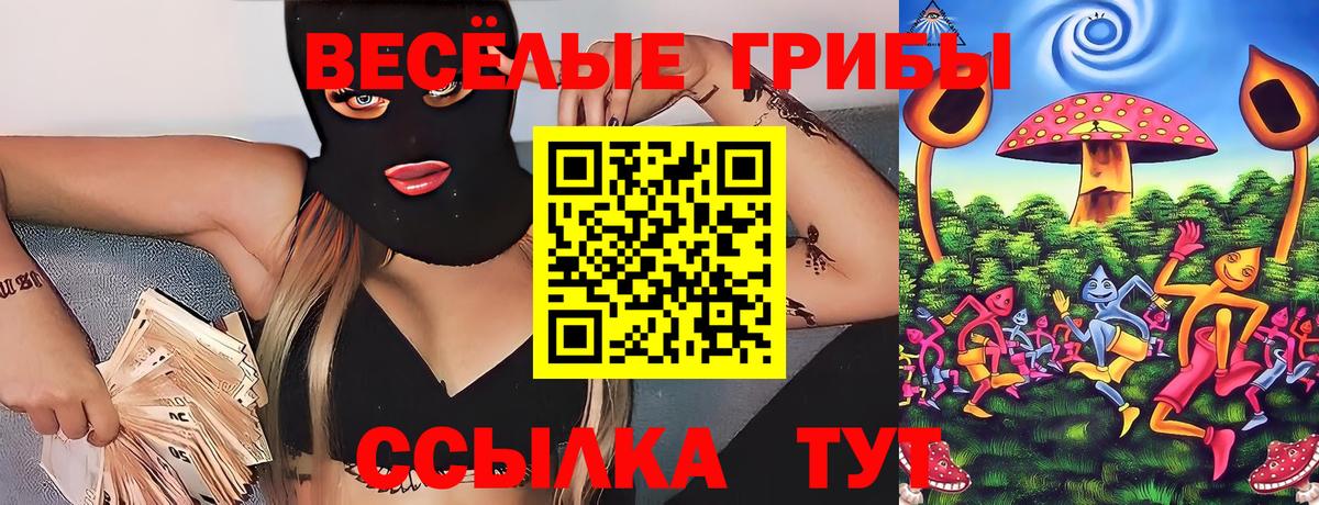 Псилоцибиновые грибы прущие грибы  Вход с VPN  Псилоцибиновые грибы мухоморы  Димитровград 